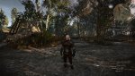 witcher3 2015-05-19 09-37-33.jpg