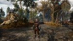 witcher3 2015-05-19 09-38-19.jpg