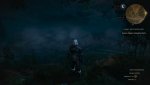 witcher3 2015-05-19 09-42-03.jpg