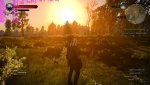 witcher3 2015-05-19 14-36-38-83.jpg