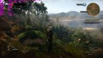 witcher3 2015-05-19 14-42-52-07.jpg