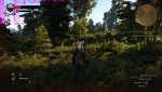 witcher3 2015-05-19 14-48-00-66.jpg