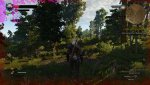 witcher3 2015-05-19 15-31-40-70.jpg