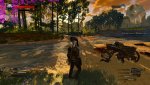 witcher3 2015-05-19 15-33-12-42.jpg