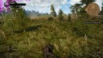 bug.jpg