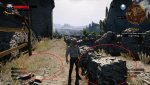 witcher3 2015-05-20 00-47-54-22.jpg