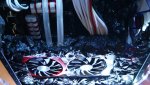 DSC01578.jpg