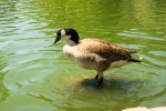 PK3_0173.jpg