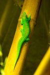 PK3_0242.jpg