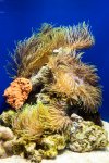 PK3_0288.jpg