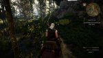 witcher3 2015-05-26 18-54-32-47.jpg