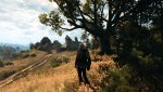 The_Witcher_3_PCGH_Enthusiast_PCGH_007.jpg