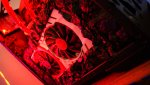 DSC01664.jpg