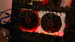 DSC01674.jpg