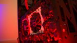 DSC01683.jpg