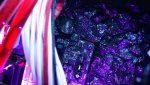 DSC01705.jpg