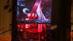 DSC01713.jpg