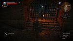 witcher3_2015_05_30_01_08_58_260.jpg