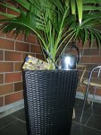 20150530_021052.jpg