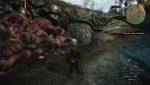 witcher3 2015-05-31 22-32-35-90.jpg