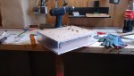 DSC_0132.JPG