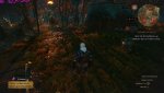 witcher3 2015-06-04 14-46-05-70.jpg