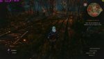 witcher3 2015-06-04 16-04-30-28.jpg