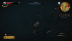 witcher3_2015_06_04_21_06_39_379.png