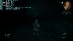 witcher3_2015_06_06_22_12_38_020.jpg
