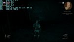witcher3_2015_06_06_22_17_26_310.jpg