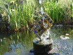 patchme-pcgh-fotocontest.JPG