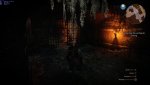 witcher3_2015_06_10_23_57_53_040.jpg