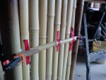 DSC00396.jpg