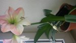 20150617_174636.jpg