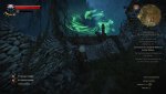 witcher3 2015-06-17 20-34-21-82.jpg