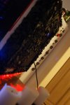 DSC02273.jpg