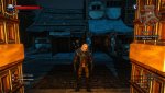 witcher3 2015-06-18 22-03-23-45.jpg