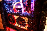 DSC02575.JPG