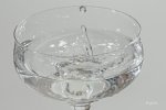 FlyPic3.jpg