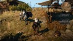witcher3_2015_06_20_19_26_51_366.jpg