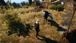 witcher3_2015_06_20_19_26_53_302.jpg