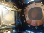 20150626_182724.jpg