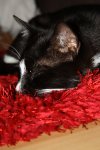 IMG_0021.JPG