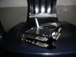 PB230006.JPG