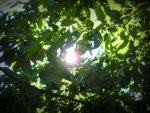 BILD0260.jpg