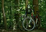 Bicycle-Romance.jpg