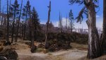 Fallout3_2015_07_06_16_35_40_156.jpg