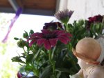 IMG_0980.JPG