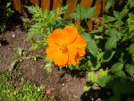 DSC00042.JPG