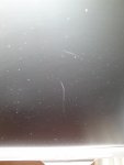 DSC01819.jpg